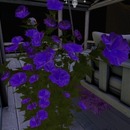 Thumb 58ae868cb713f72115000001