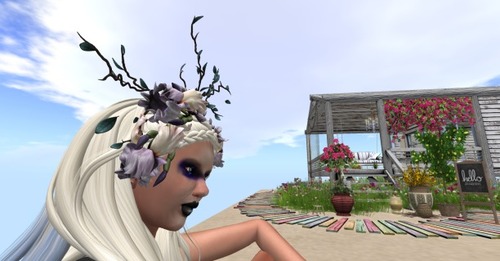 Web 58ce19e1b713f73226000001