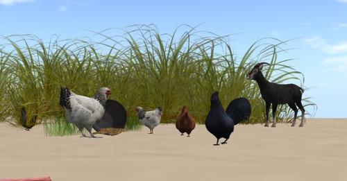 Web 58df3d2e73ed177346000001