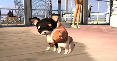 Web 58f42495289dd21614000001