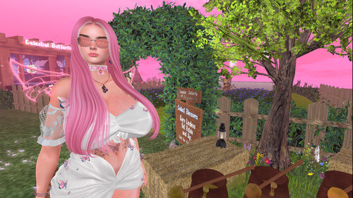 Xes Xue hunting butterflies at Morgan Pass in Second Life.