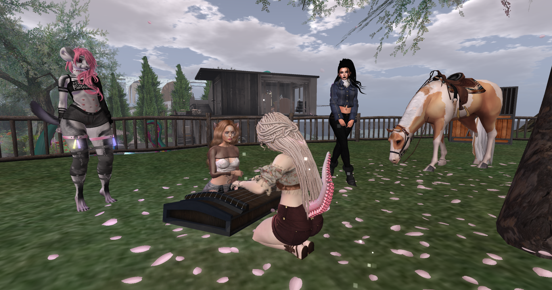 Original 62eb2fac3e11bc6334b0d7e9