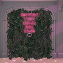 Thumb 65fe4003072cc93b03cf4d3b