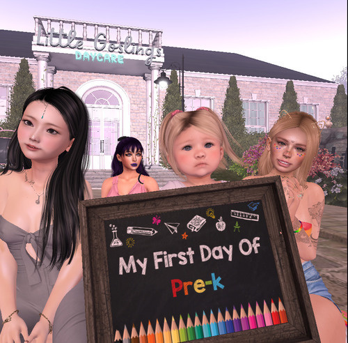 Web 6487a3e93d8d3c5258dca015