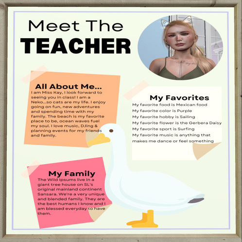 Web 64bf03a27b04056d8dfe8020