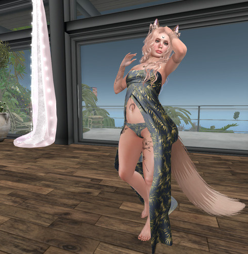 Web 64fb80466402fa43611822f9