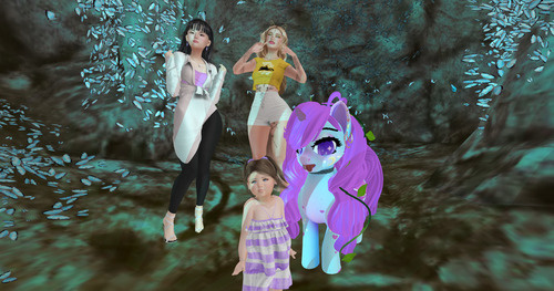 Web 66551466c64340065526047a