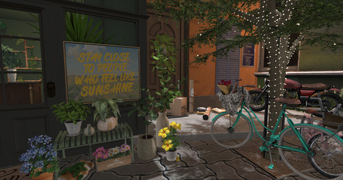 Web 66566fa22c8ed26bd2729709