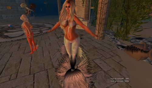 Web 501982e79263ba2585000001