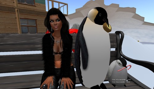 Web 502fcc75da39104097000001