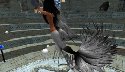 Web 5037c52c8517ec62c1000001