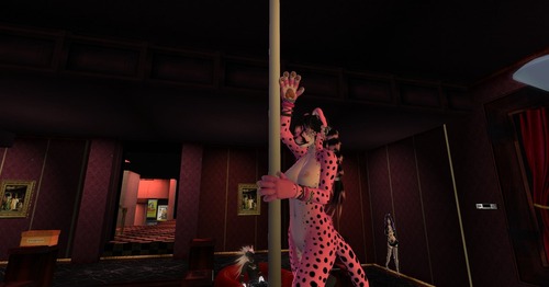 Web 500507cbb5dde8123b000001