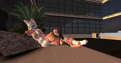 Web 50068eef54bb28317e000001