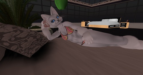 Web 500690a5d472420828000001