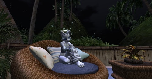 Web 500698dafde63a1b5c000001