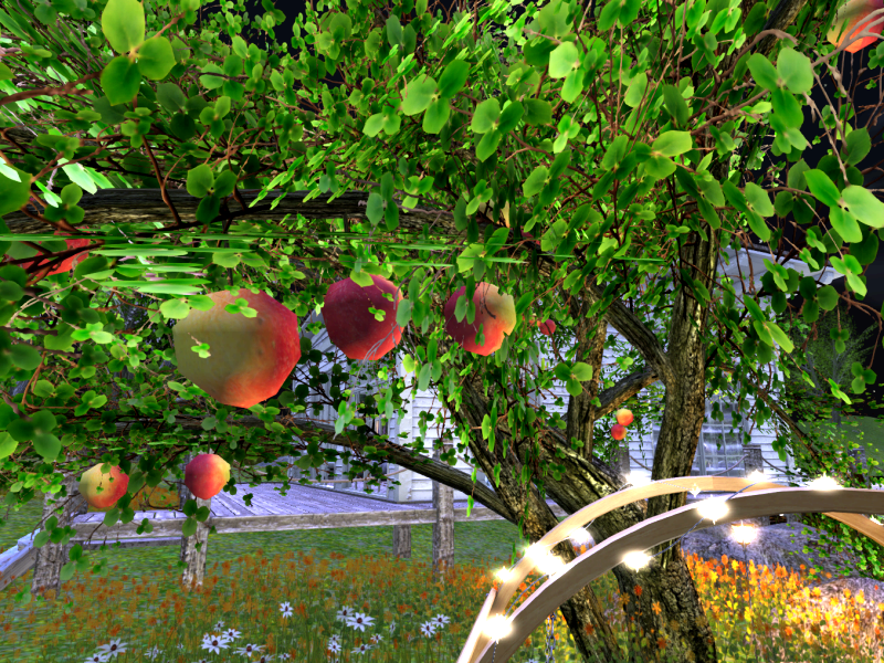 Original 57acfea8f8a1ec51de000001