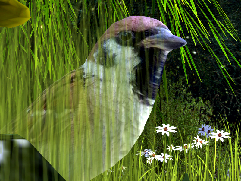 Original 57ad0431b713f73c40000001