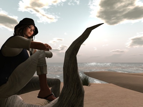 Web 55d0bdc8a73e2166ff000001