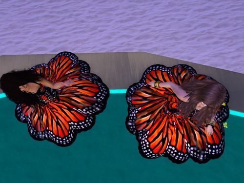 Web 57acf34db713f73fe0000001