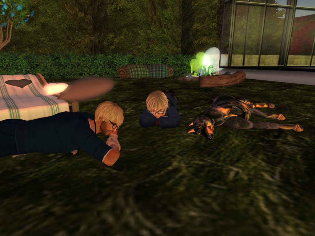 Original 5541b55df8a1ec057a000001