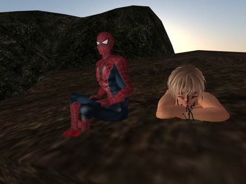 Web 553b1a018da57208c5000001