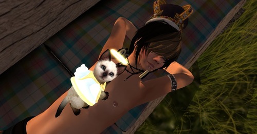 Web 55d4e49b8da57236a8000001