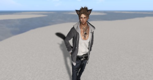 Web 565b7be9128cc911d8000001