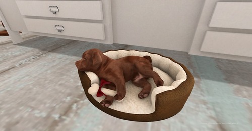 Web 56611c67f8a1ec4593000001