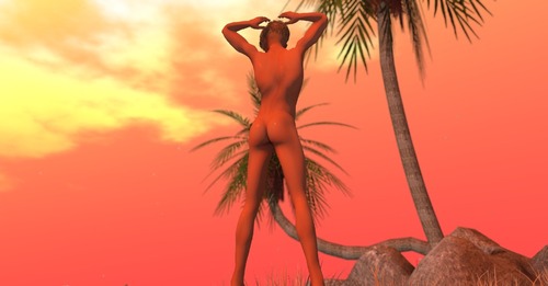 Web 5737c4e3e85cda535c000001