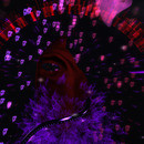 Thumb 63e957359a1e8965164e6f75