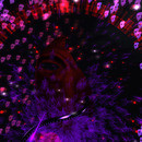 Thumb 63e9573cf9f61914b497ef0b