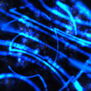 Thumb 63e957f2bbbc66111dbd3da7