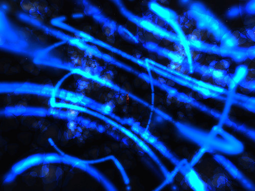 Web 63e957f2bbbc66111dbd3da7