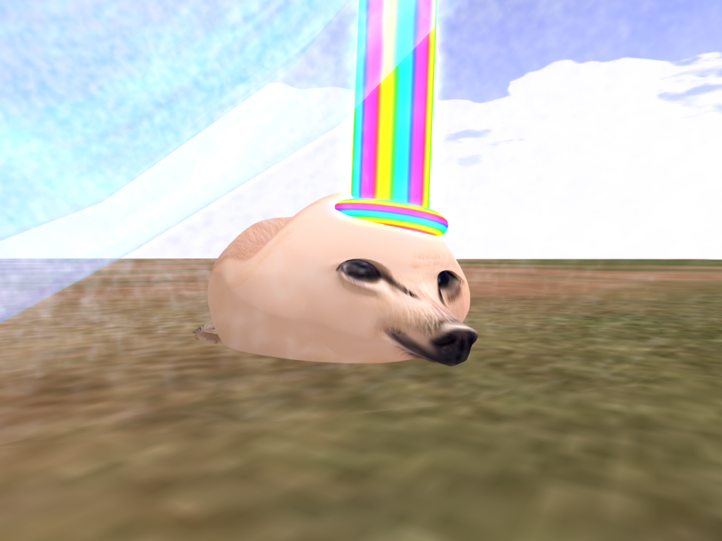 Original 5fbc6e04f470177ea6b2555d