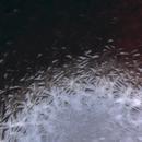 Thumb 5fb08922dbc6a461400804ca