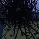 Thumb 5fb094a4e30bef1e96281aa8