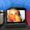 Thumb 65b313db1d7590506b59d4bd