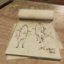 Thumb 663416b2b6f8aa28acc7c337