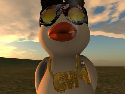 Web 5fb4d08d7866e3435cc07be2