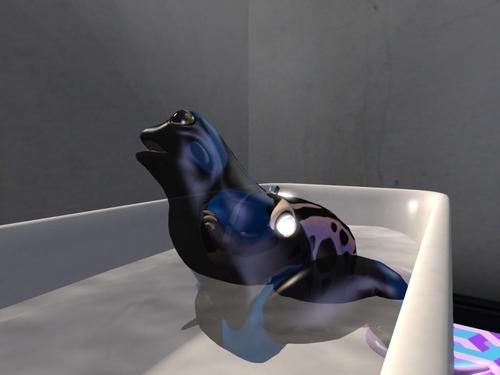 Web 5fbb94bcc4f00a6c01aa3e7f