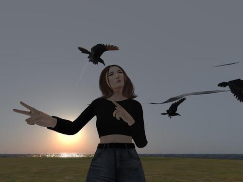 Web 5fc0aa35d5f5e361b5be467a