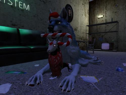 Web 5fc73712c1eb010c140247bd