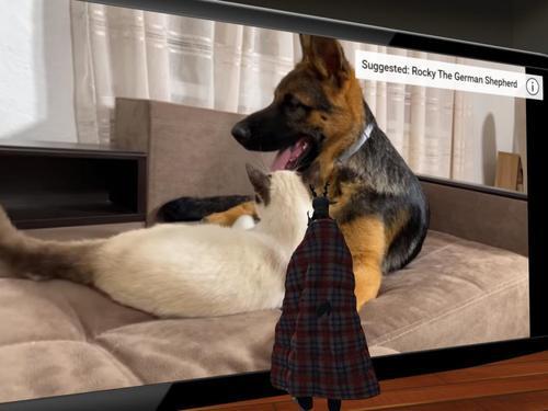 Web 5fd749ff92adf17eeded4f11