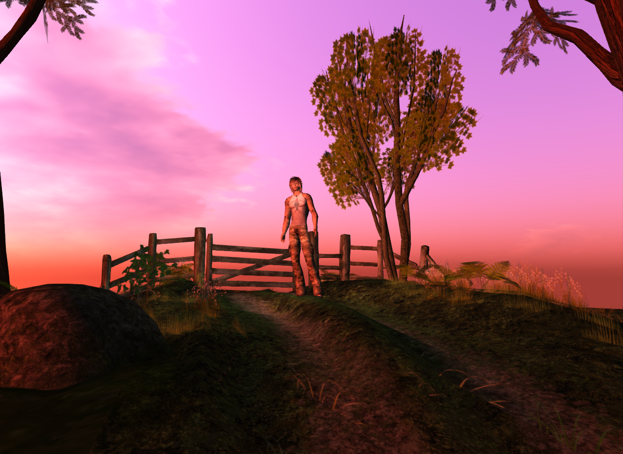 Original 513cb9fd856d870b4c000001