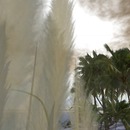 Thumb 5139156fe4eadf13f4000001