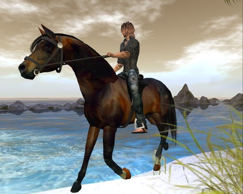 Web 51391a131756ff6d6e000001