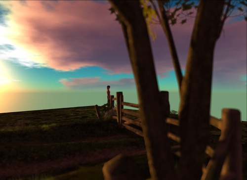 Web 513beda32dd9a10f1f000001