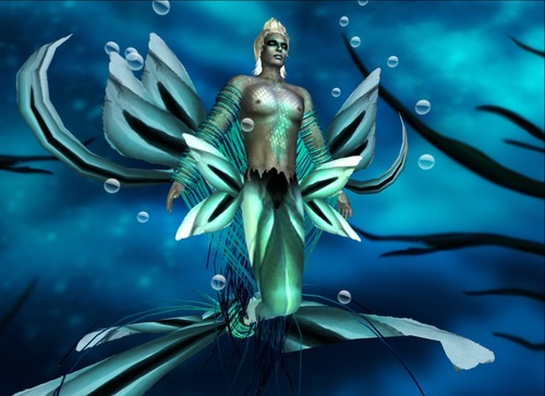 Web 513c221f2dd9a11ad5000001