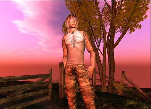 Web 513cbcce76e58c70e8000001