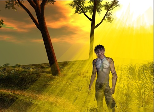 Web 513ccce290971f0e9e000001